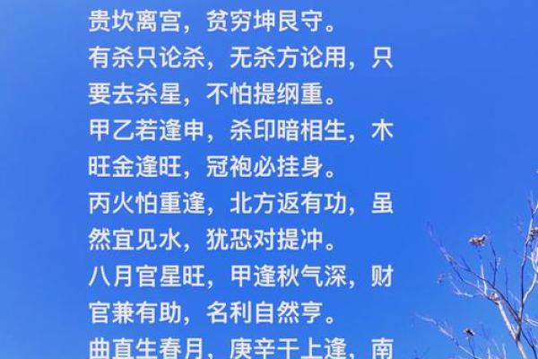 颠覆传统五行格局：鲁五行性格的另类解析与提升