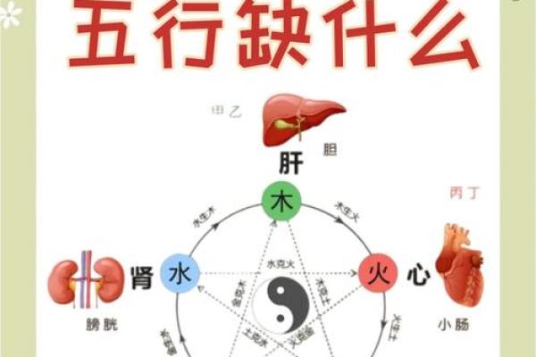 五行格局揭秘：水土交融，性格解析如何塑造和谐人生？