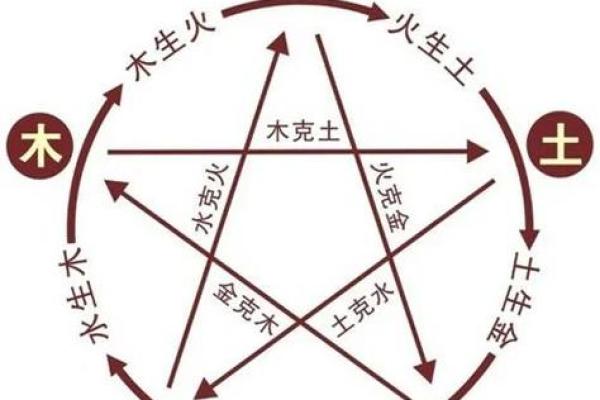 反转命运密码：1979年出生者的五行格局与性格解析