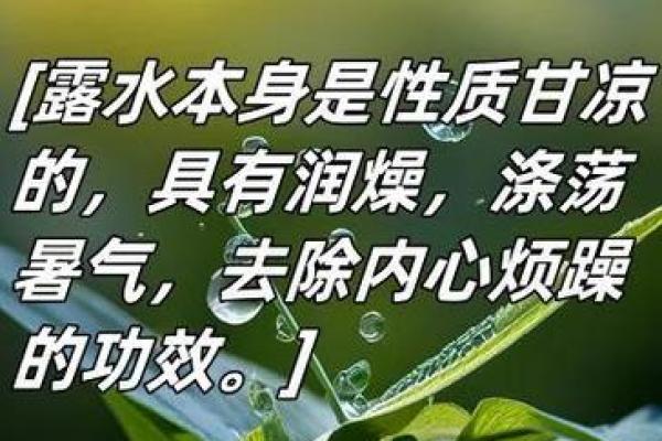 五行格局中的露水启示：性格塑造与改变的实用技巧