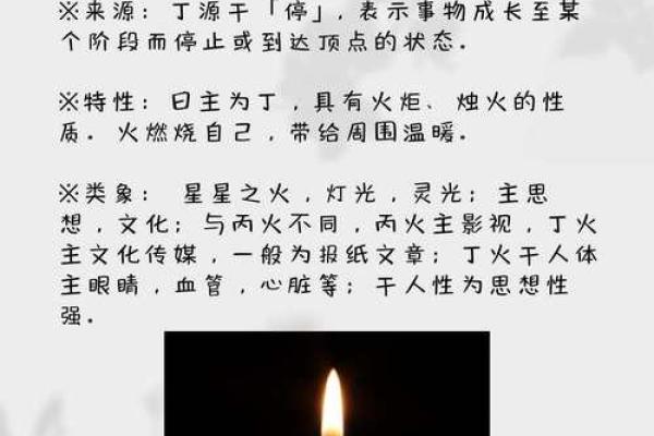 寅月命理中的命运密码：如何避开常见误区，迎接更好的未来