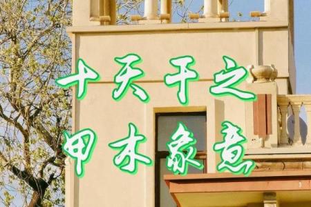 甲木女命理解析：暗藏玄机，如何改变命运轨迹