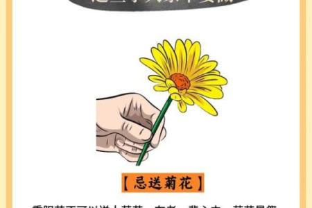 重阳节：敬老尊贤，品味长寿文化