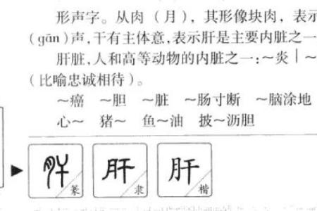 五行格局新解：久字背后的性格密码，如何巧妙运用？