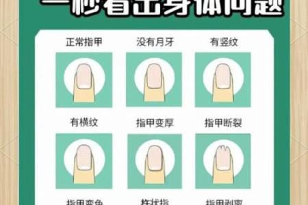 美甲五行格局解析：反而从你的指甲看出，如何调整你的生活状态？