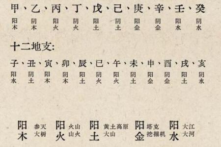 五行属性大揭秘：性格解析，揭开你的五行格局之谜
