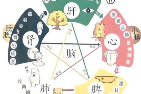 胃五行格局揭秘：性格解析，如何改变你的饮食与健康？