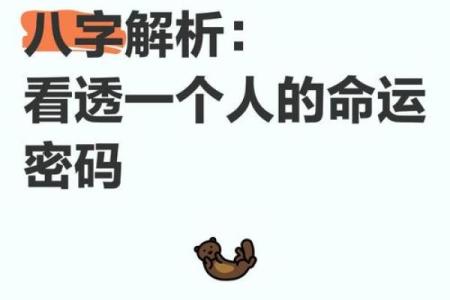 九算八字的隐藏玄机，破解命运密码你是否已准备好？