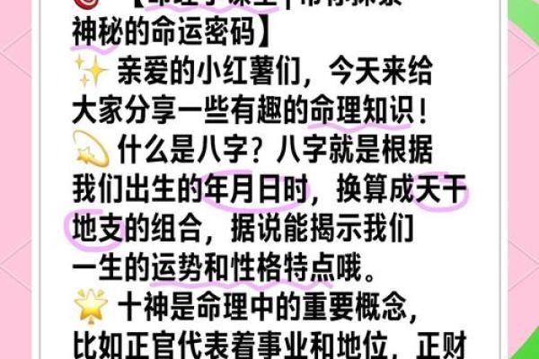 深入探讨：理以命气如何颠覆你对命运的认知