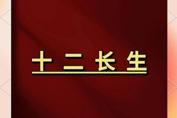 五行格局深度解析：91年出生者的性格密码与转变之道