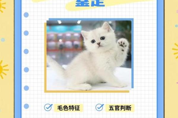误区揭示：身上长白毛反而暗示了命运的重大转变