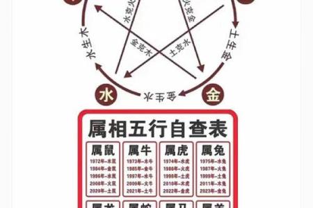 五行格局深度解析：91年出生者的性格密码与转变之道