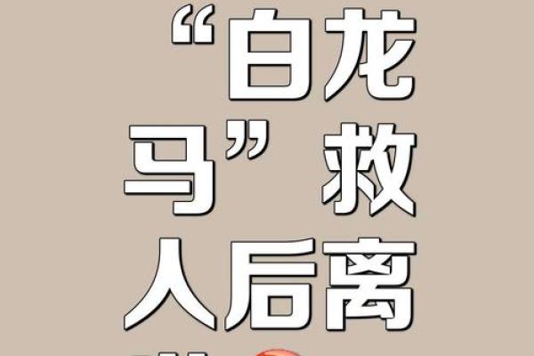 揭开白龙命理的神秘面纱，命运密码等你破解