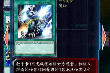 揭开白龙命理的神秘面纱，命运密码等你破解