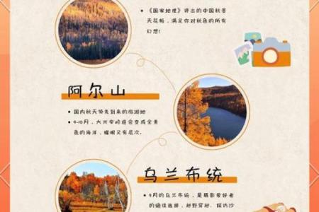 十一日：畅游大自然，感受秋日养生的魅力