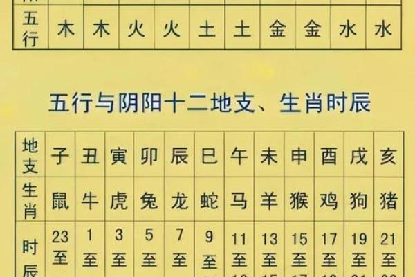 东字五行属性如何改变你的命运？揭秘性格重塑之道