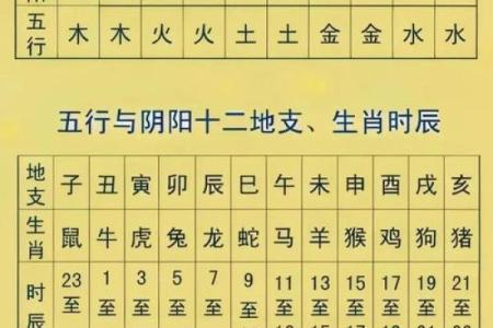 东字五行属性如何改变你的命运？揭秘性格重塑之道