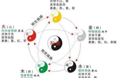 航行五行格局颠覆传统：揭秘你的性格如何影响人生方向