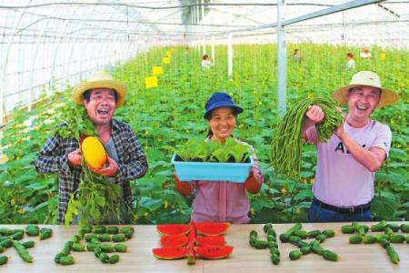 - 哈尼族丰收节：欢庆丰收，弘扬哈尼民族文化