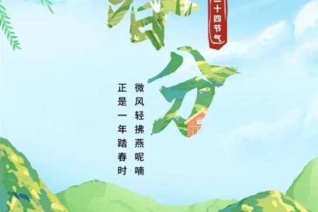 春分节：自然界的平衡与养生之道