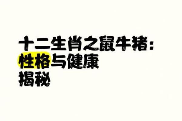 五行格局解码生肖鼠：揭秘你的性格密码与命运走向