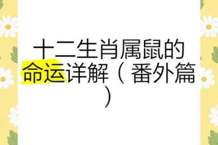 五行格局解码生肖鼠：揭秘你的性格密码与命运走向
