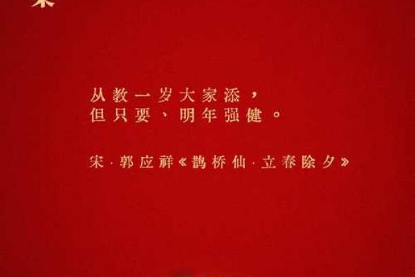 春节：岁月如歌，感悟春节的文化传承