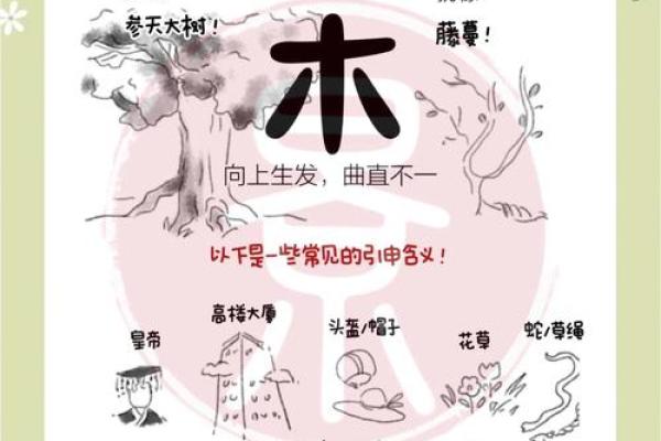 五行误区大揭秘：你以为的五行，其实反而不对