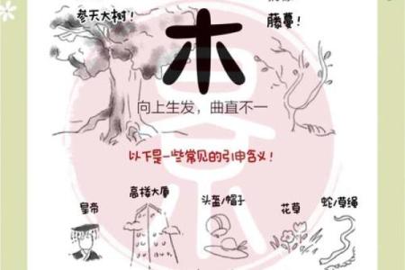 五行误区大揭秘：你以为的五行，其实反而不对