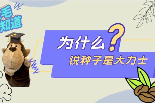五行格局里的皓反而让你更强大：揭秘隐藏的力量