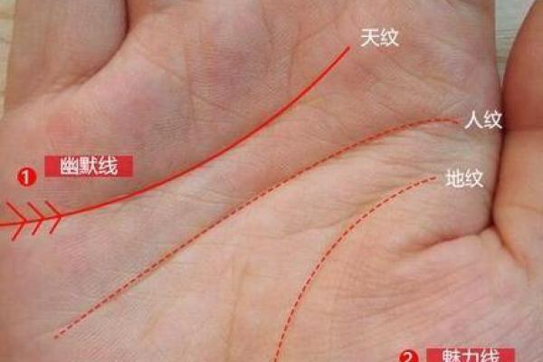 探索指纹命理的深层奥秘，暗藏玄机助你转运