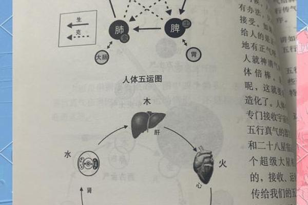 五行格局调整指南：实用技巧助你提升运势