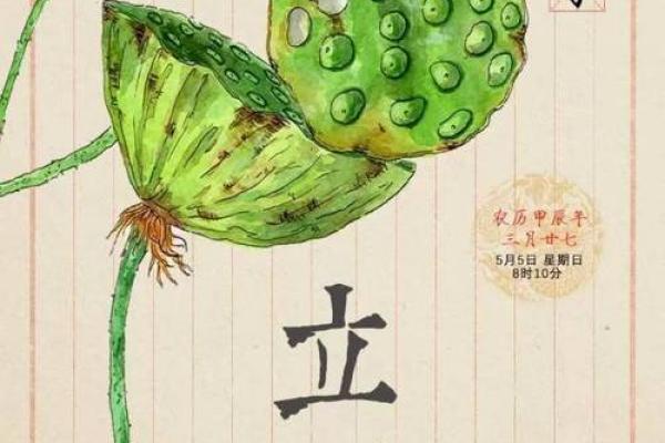 立夏：迎接初夏，养生食谱与习俗