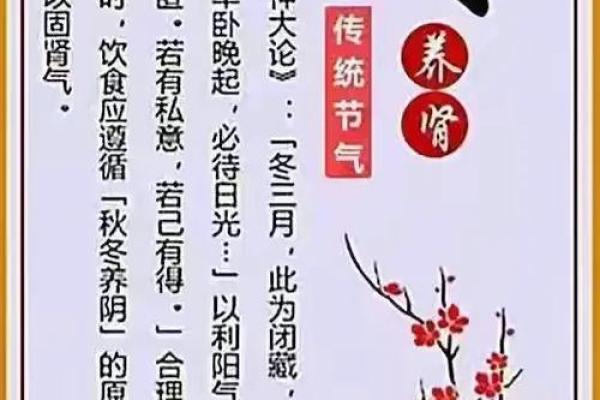 元旦：以养生为主题的传统节日健康指南
