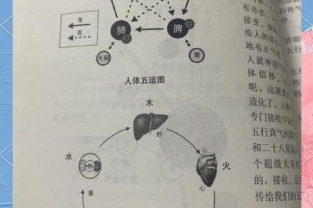 五行格局调整指南：实用技巧助你提升运势