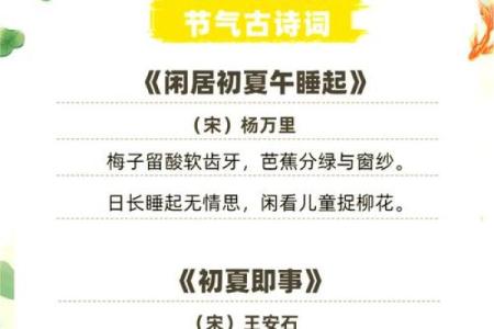 立夏：迎接初夏，养生食谱与习俗