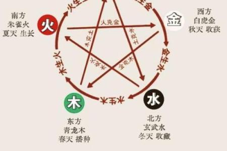 五行性格解析新视角：名字带木的人，如何找到最适合你的生活方式？