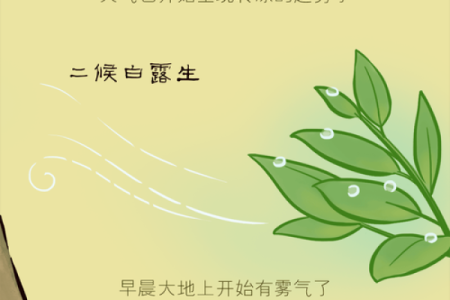 立秋：节气交替，品味秋日自然的变化