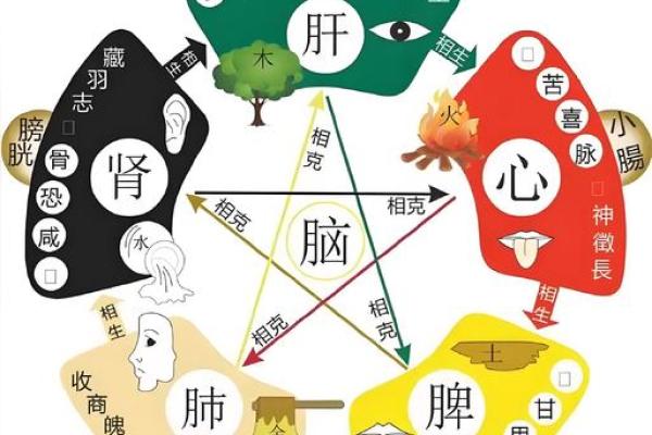 五行格局重塑人生：如何利用五行改变命运？