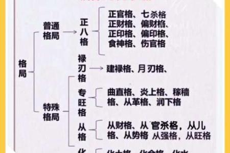周易命理大师的独家解密：如何破解你的命运密码