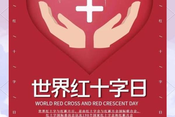 世界红十字日：爱与救援，传递人道主义精神