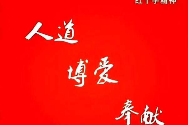 世界红十字日：爱与救援，传递人道主义精神
