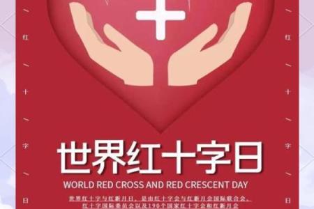 世界红十字日：爱与救援，传递人道主义精神