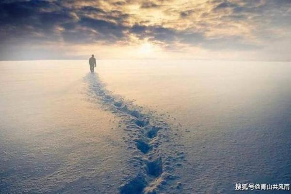 揭开白敬亭八字的命运密码，如何改变人生轨迹