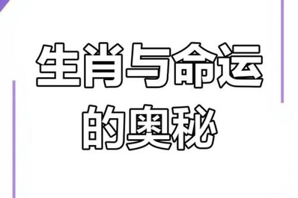 生肖命理揭示命运密码，如何通过八字改变人生轨迹