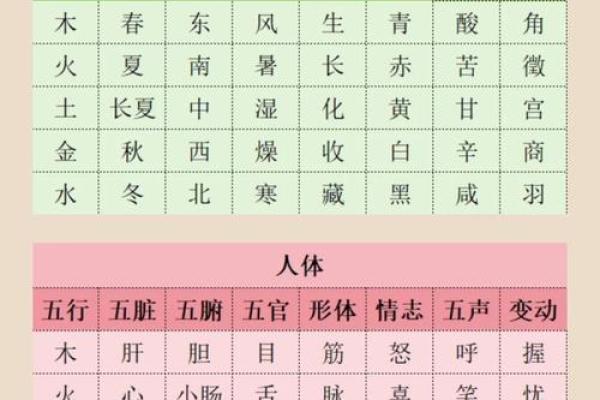 五行性格解析：跳出传统框架，探索你的内在力量