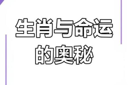 生肖命理揭示命运密码，如何通过八字改变人生轨迹