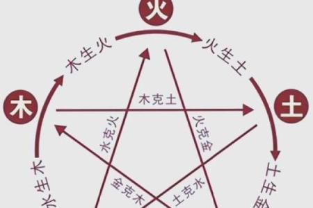 性格解析新视角：七画五行属木，揭秘你的独特格局与改变之道