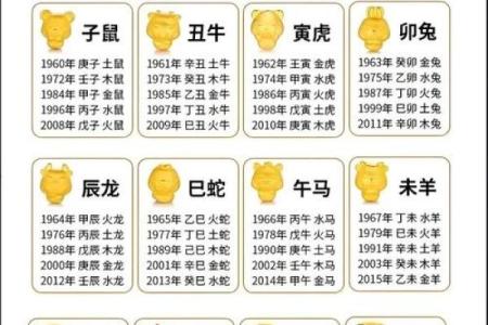 你的鞋店五行属什么？一招破解五行格局，提升店铺运势与人气