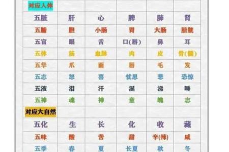 五行性格解析：跳出传统框架，探索你的内在力量